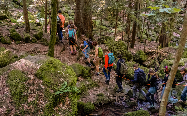 Mitarbeit beim Wildniscamp Monbachtal Mitarbeit beim Wildniscamp Monbachtal