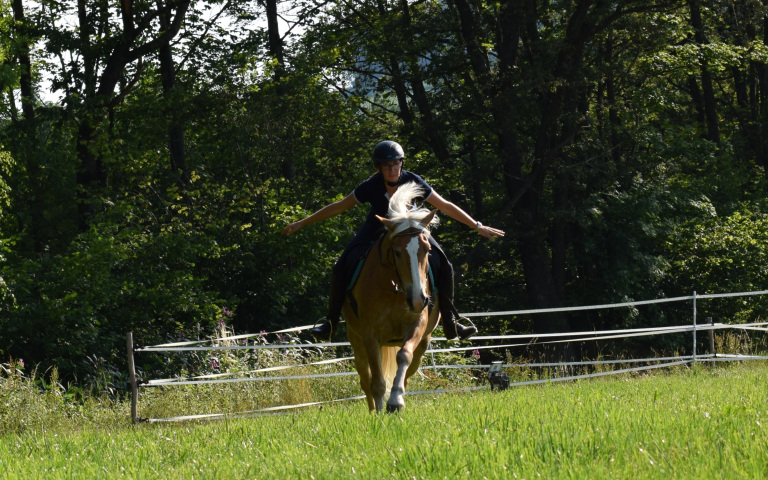 Reiterferien im Bayerischen Wald | Aventerra