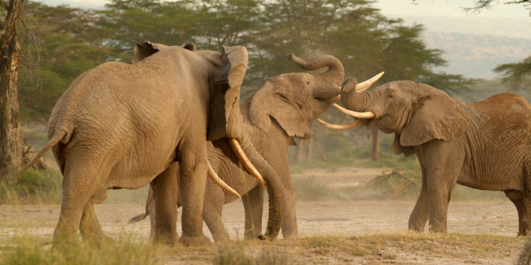 Afrikareisen Mit Kindern Aventerra